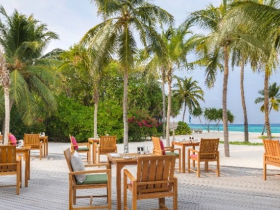 Terrasse en bois face à une plage tropicale