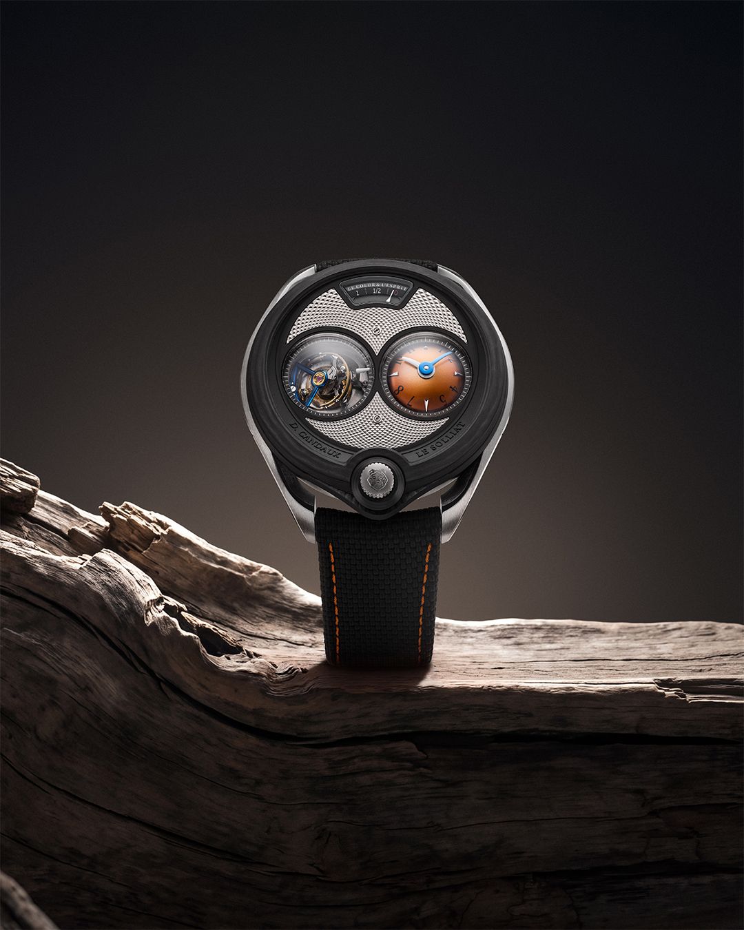 Montre mécanique de luxe sur bois flotté